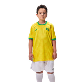 Camisa Joma Norwich I 24/25 Infantil